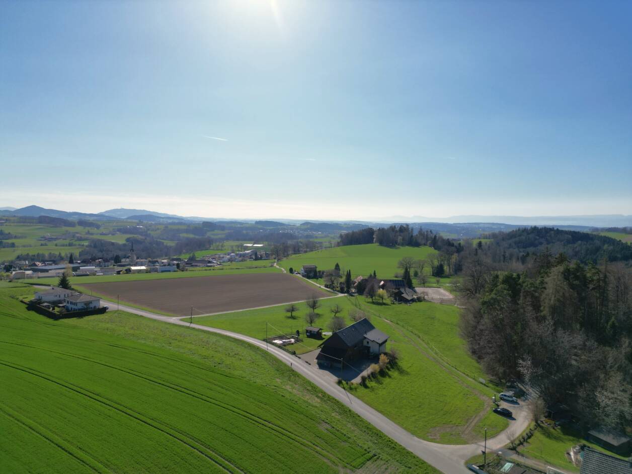 DJI 0249