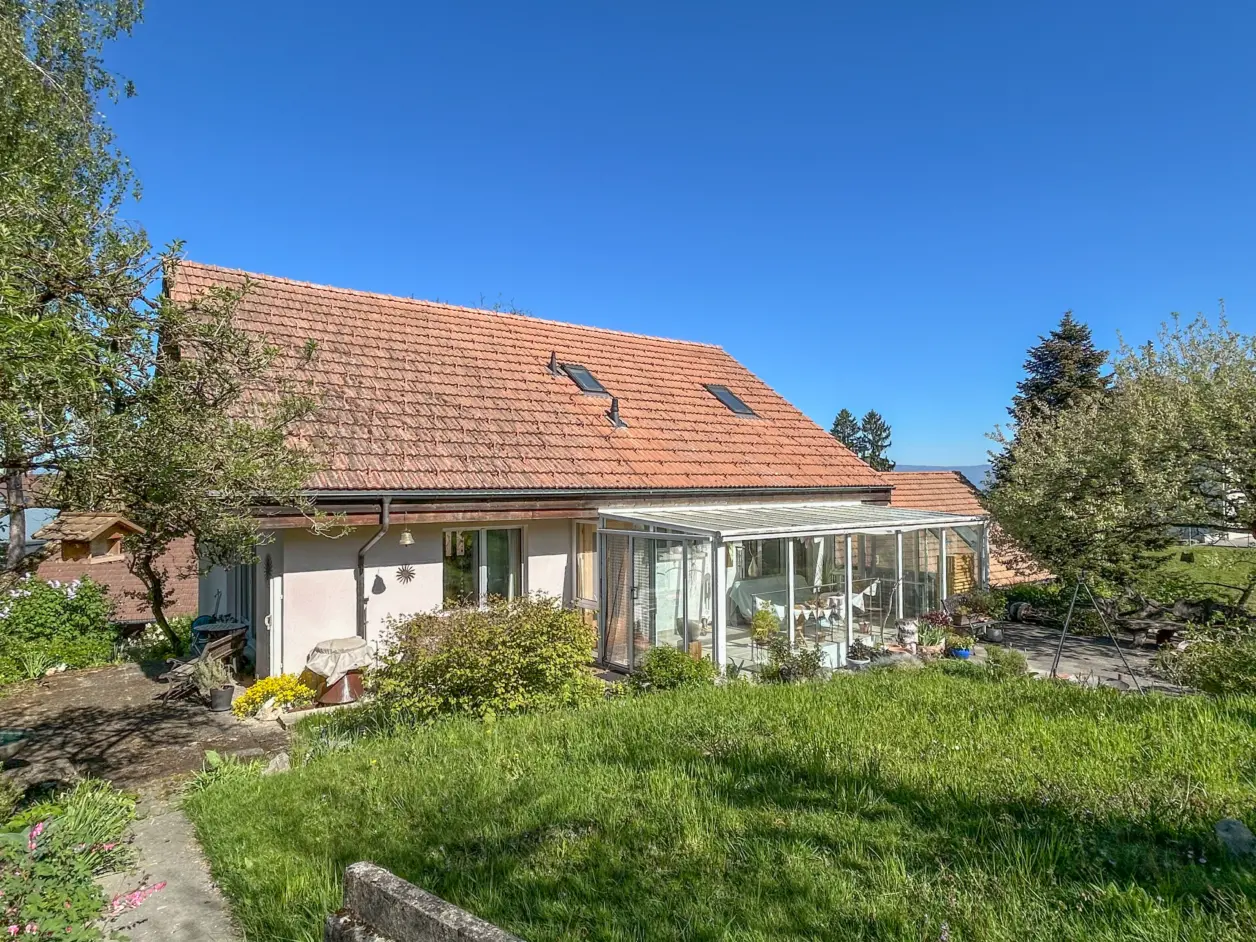 IMG 5691